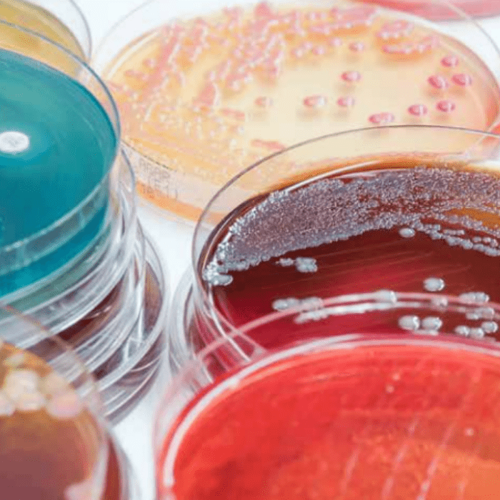 Thermo Scientific mikroorganizmai mikrobiologinei kokybės kontrolei